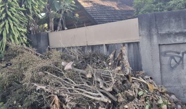végétaux punaauia déchets
