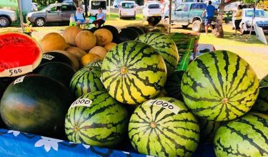 MARCHÉ DU TERROIR CE SAMEDI À PUNAAUIA