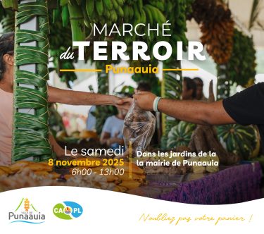 571582892_1230318819127163_1817609889693825705_n