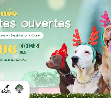 592252478_823347053852649_6323631743529987183_n