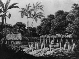 ARCHEO_000003_F15-MARAE-TAHITI-OU-TE-ARA-O-TAHITI-SCP