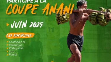 Coupe anani