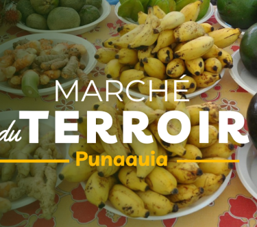 Marché du terroir