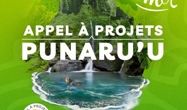 appel à projets punaru'u