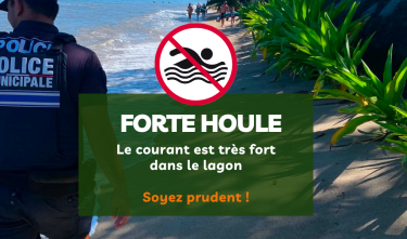 Houle